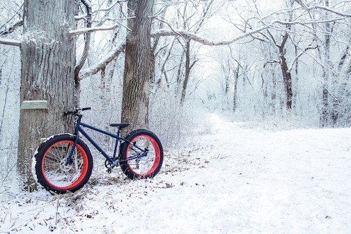 Mountainbike kaufen – bei uns findest du das passende Modell für jeden Zweck